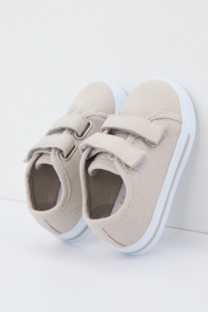 CHICCO GABBIANO en color   (3)