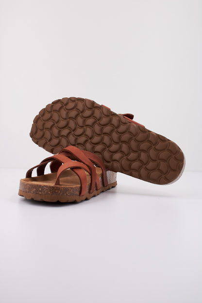 THE HAPPY MONK POMPEYA  en color NUEZ  (4)