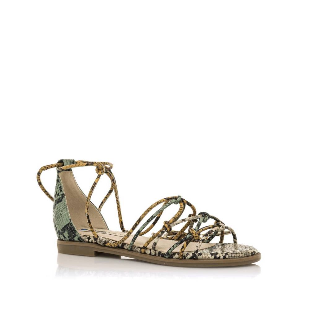 MTNG  en color VERDE  (2)