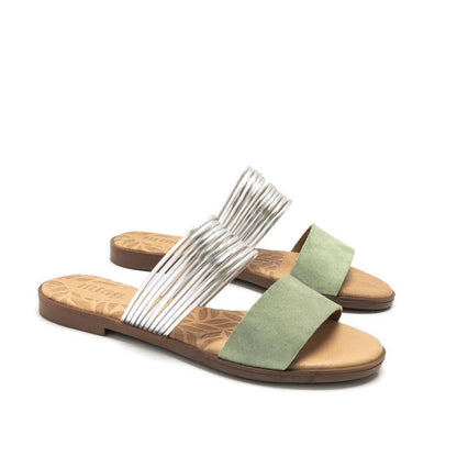 MTNG  en color VERDE  (5)