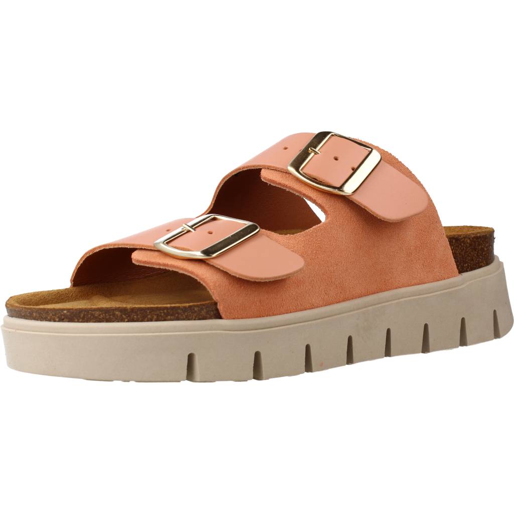 MTNG  en color C  (1)