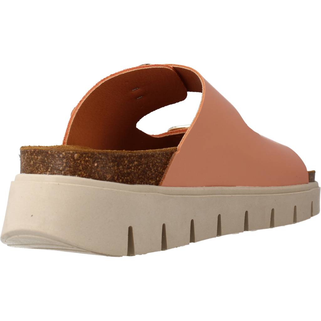 MTNG  en color C  (3)