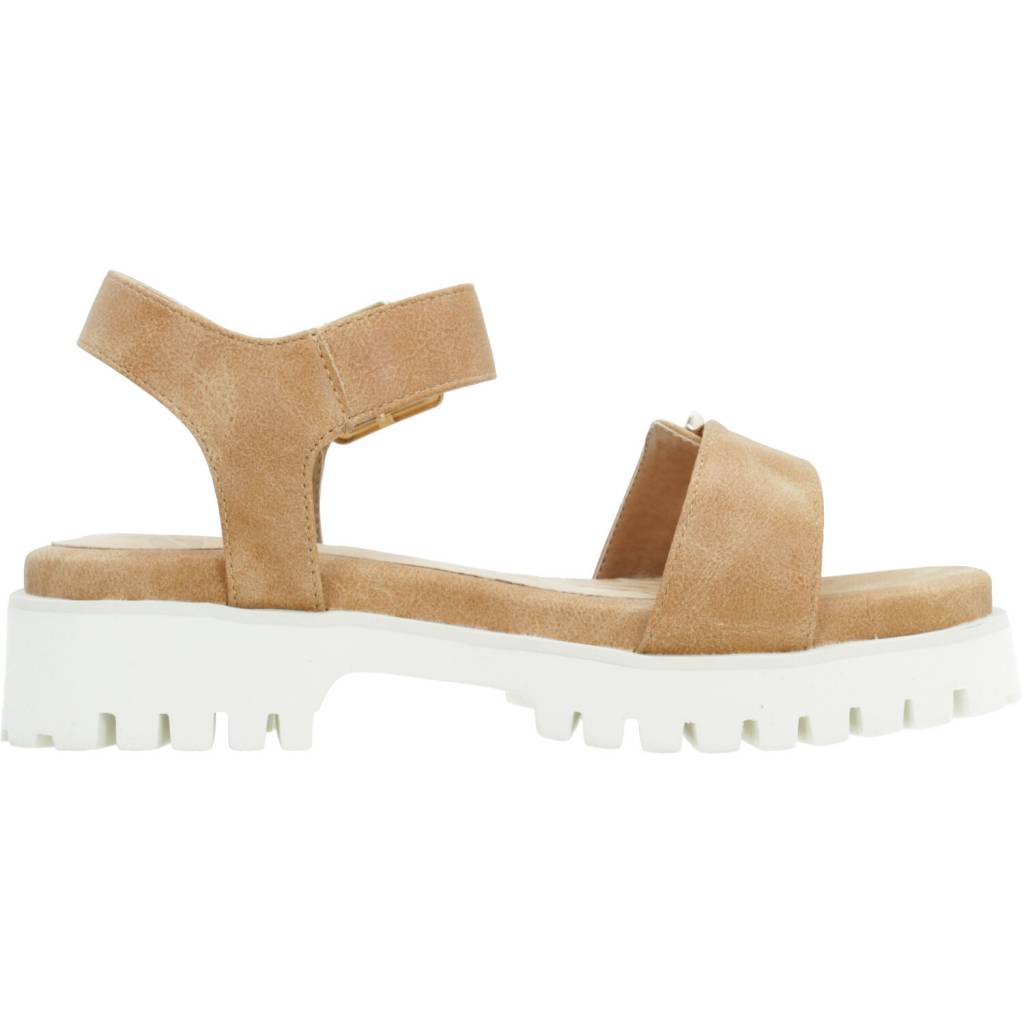 MTNG M en color C  (4)