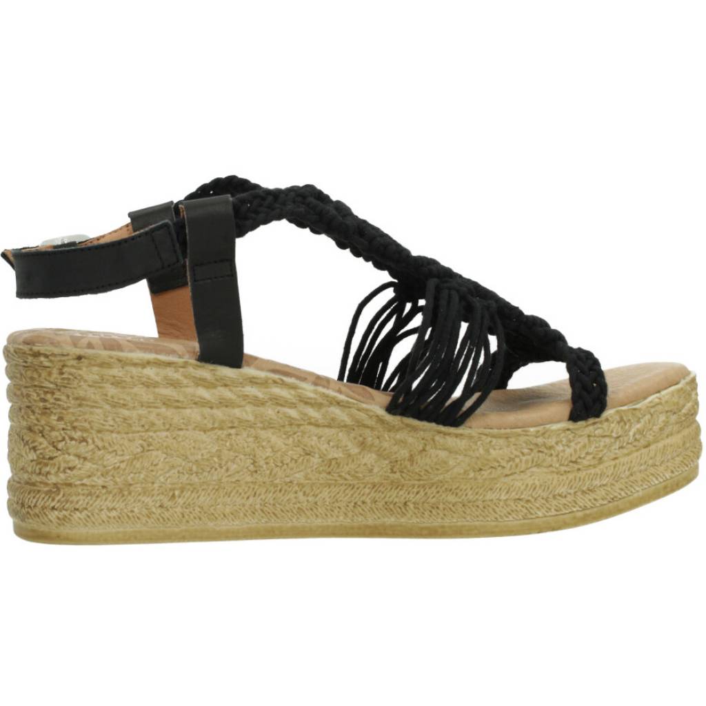 MTNG M en color C  (4)