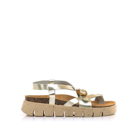 MTNG  en color ORO  (1)