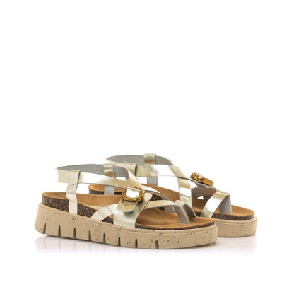 MTNG  en color ORO  (2)