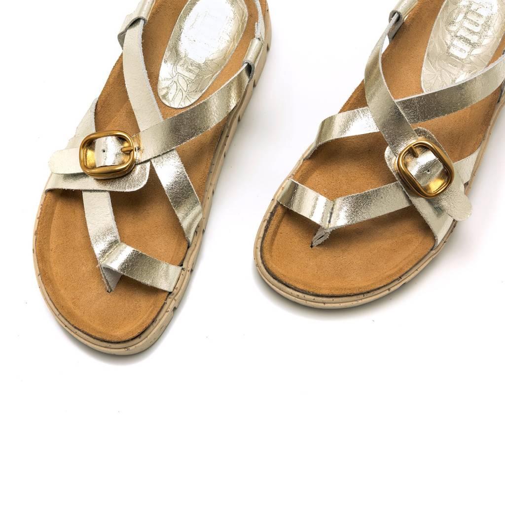 MTNG  en color ORO  (4)