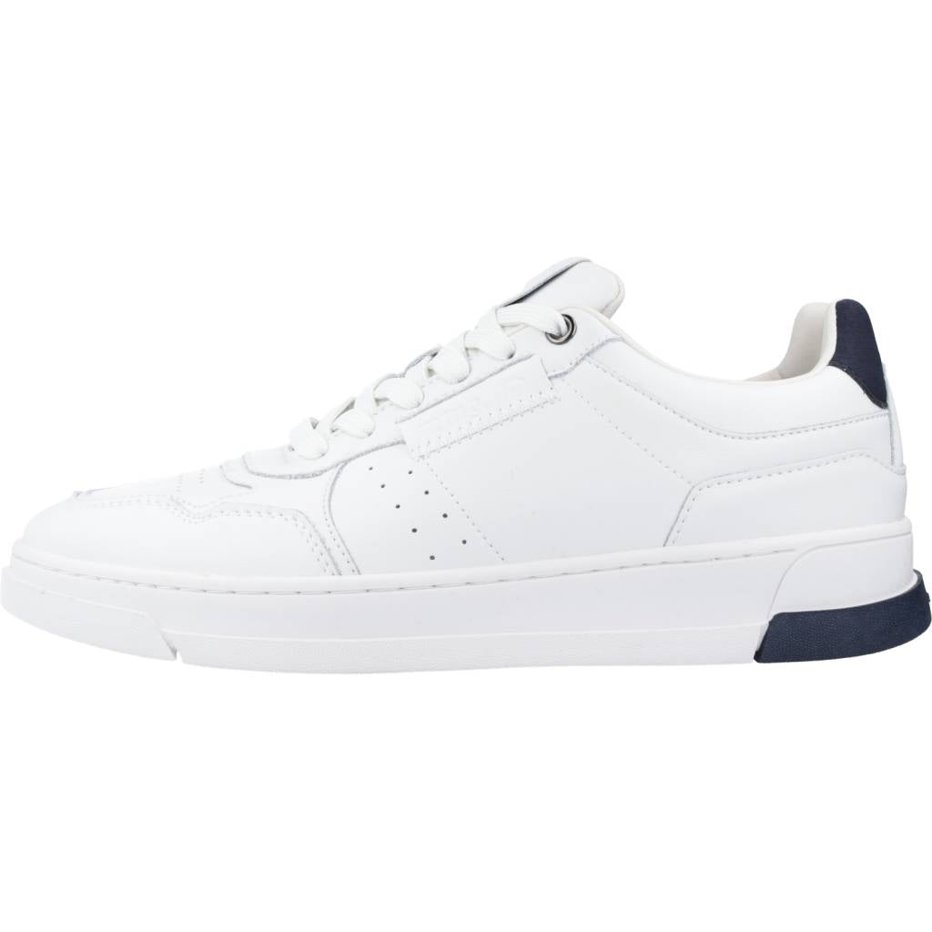 MTNG M  en color C  (2)