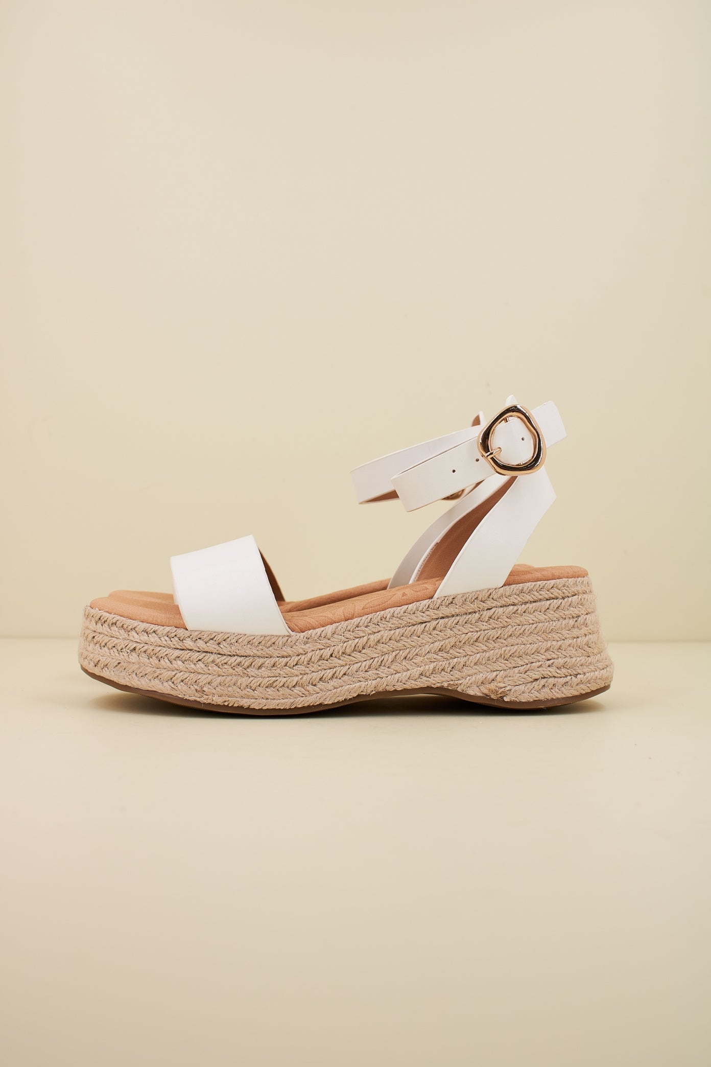 MTNG M en color C  (1)