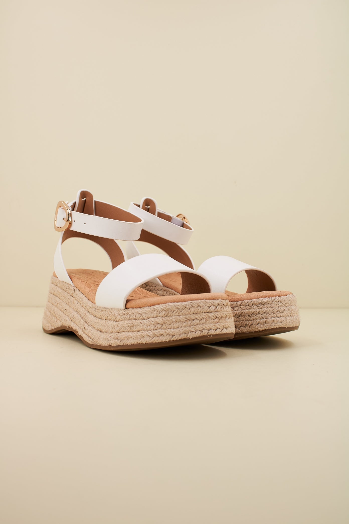 MTNG M en color C  (2)