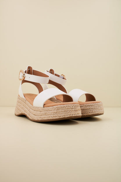 MTNG M en color C  (2)