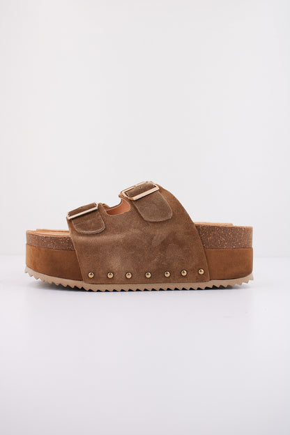 MTNG M en color C  (1)