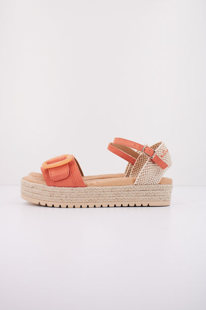 MTNG M en color C  (1)