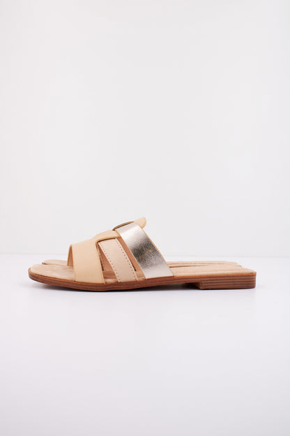 MTNG M en color C  (1)