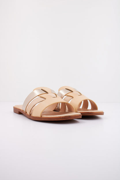 MTNG M en color C  (2)