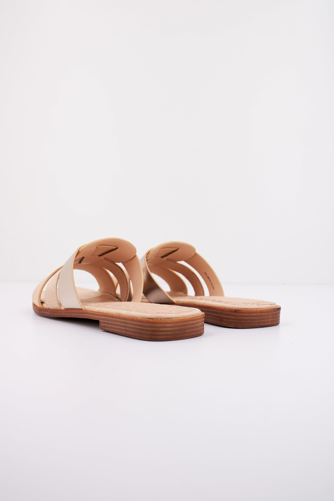 MTNG M en color C  (3)