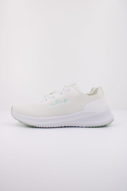 MTNG M en color C  (1)