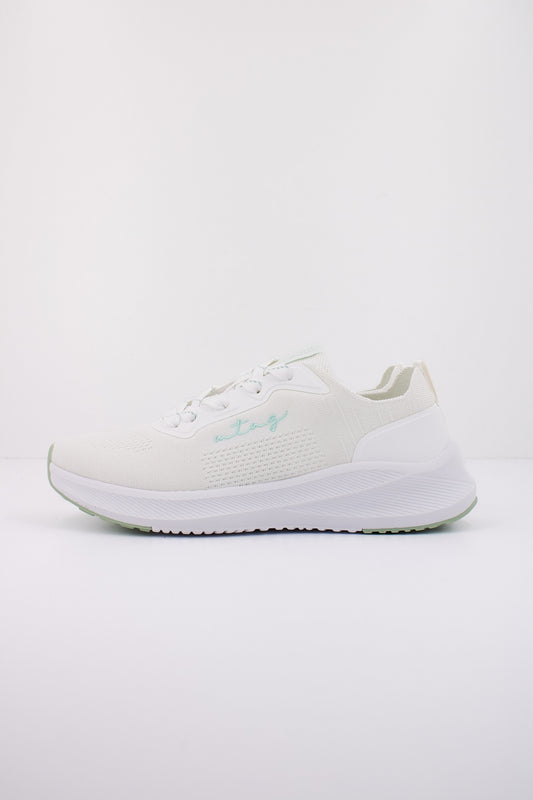 MTNG M en color C  (1)