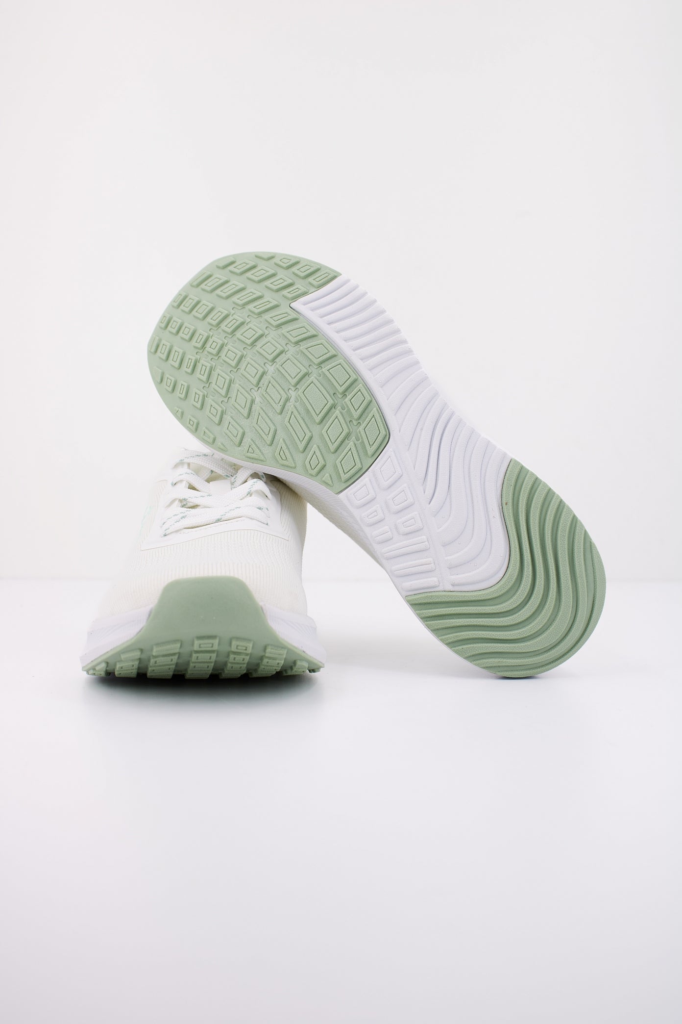 MTNG M en color C  (5)