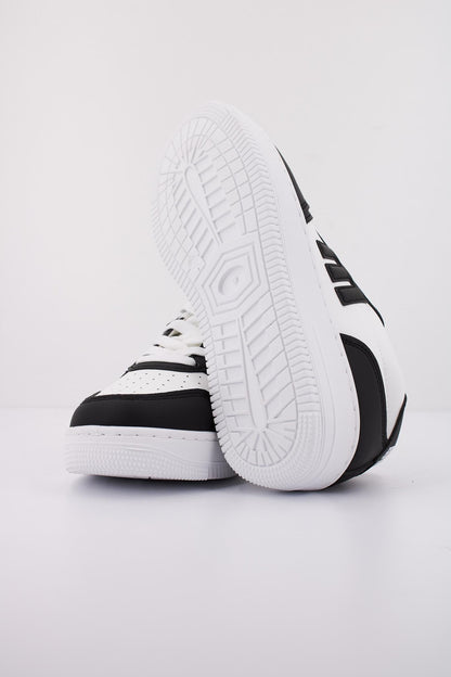 MTNG M en color C  (5)