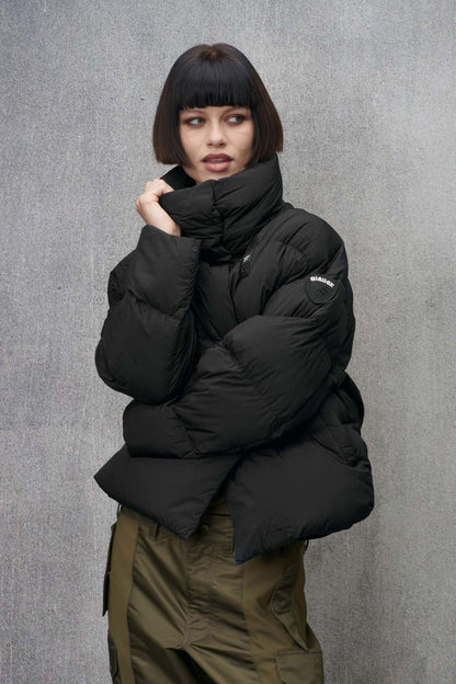 BLAUER ROSS en color   (1)