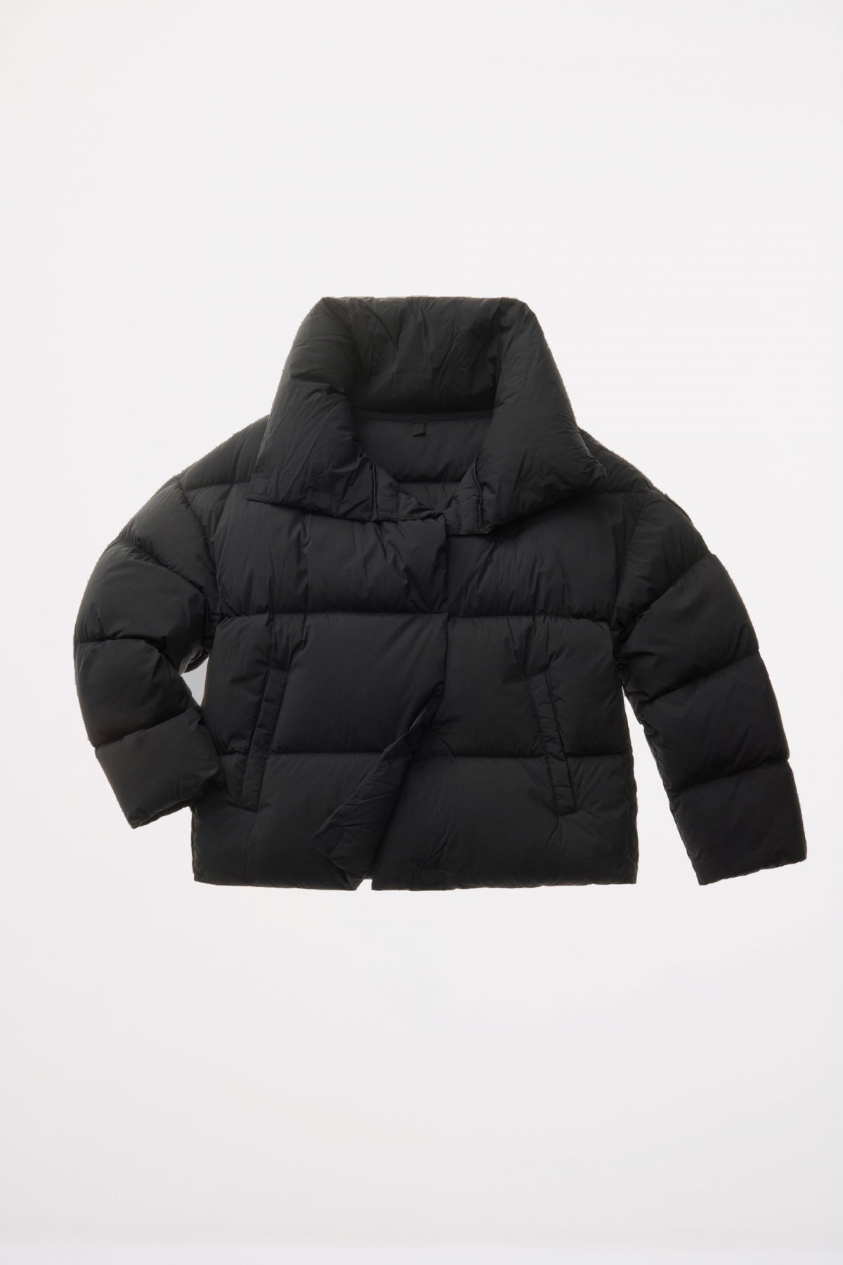 BLAUER ROSS en color   (2)