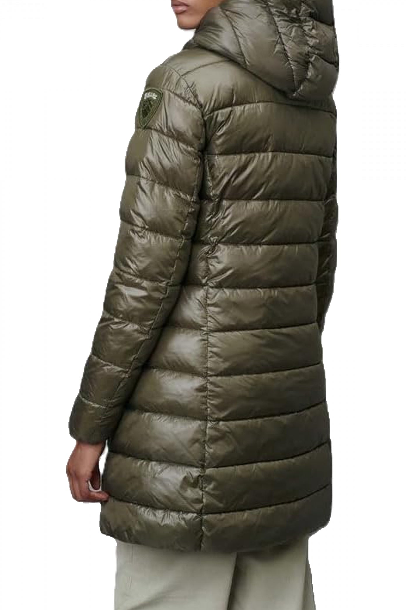 BLAUER ADELAIDE en color EG  (3)