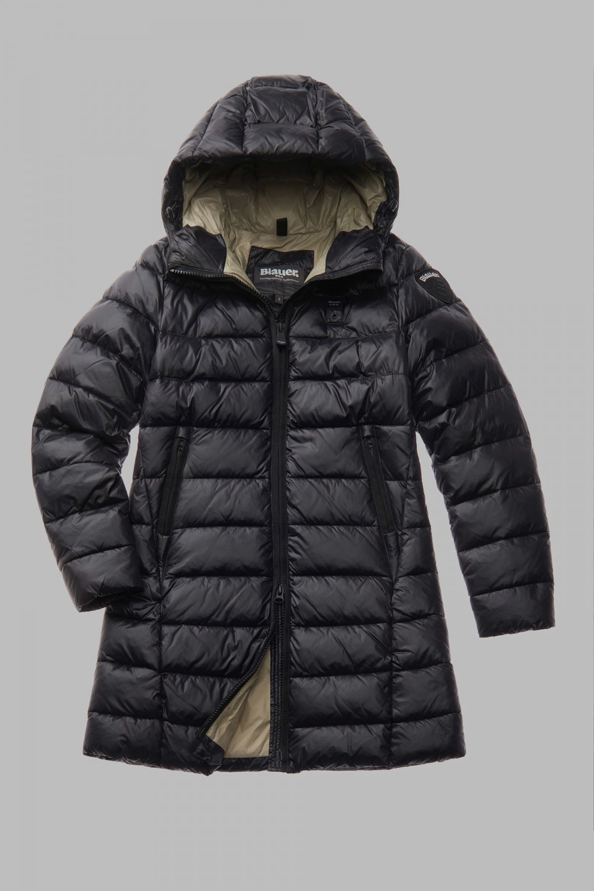 BLAUER ADELAIDE en color EI  (2)