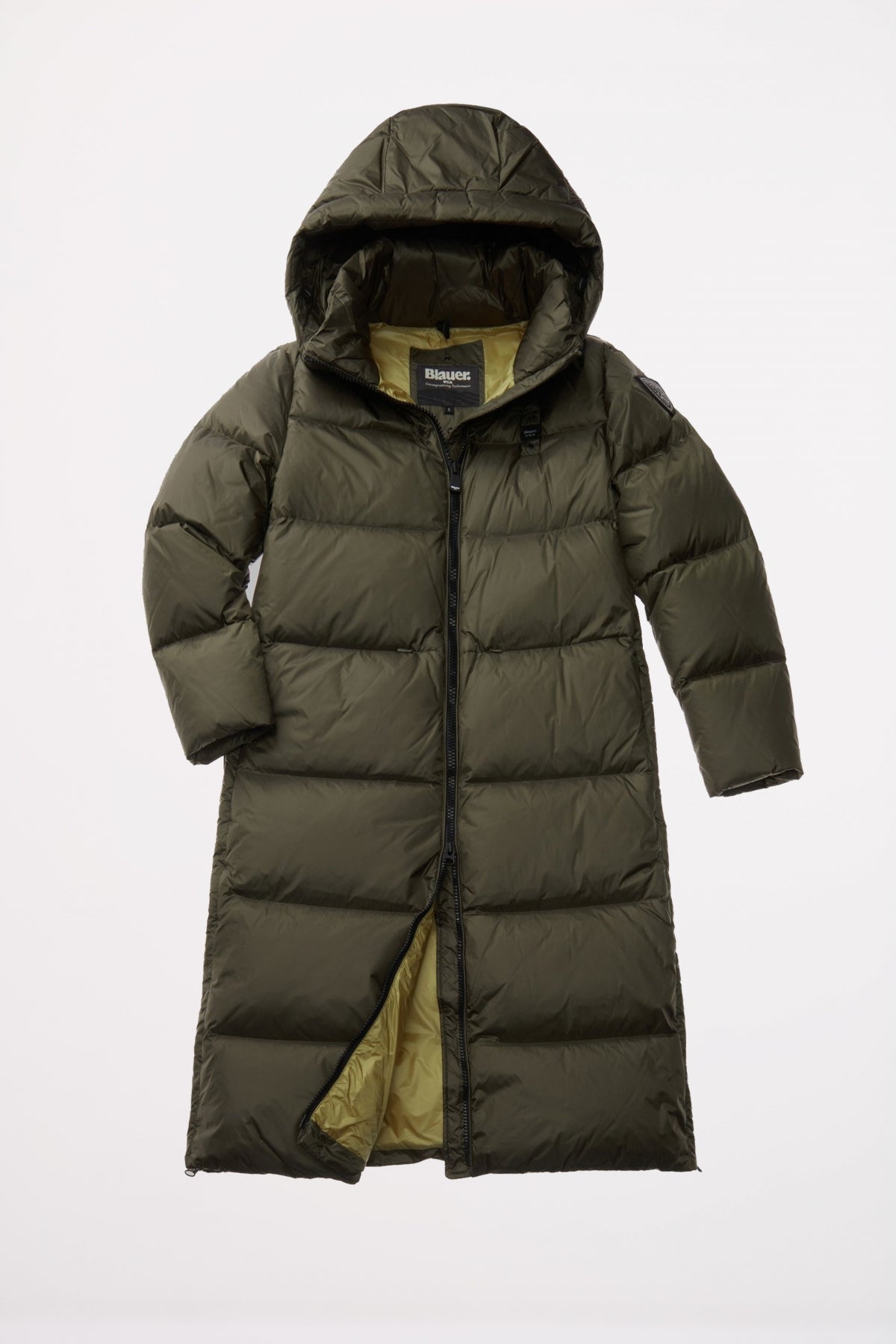 BLAUER CELIA en color EG  (2)