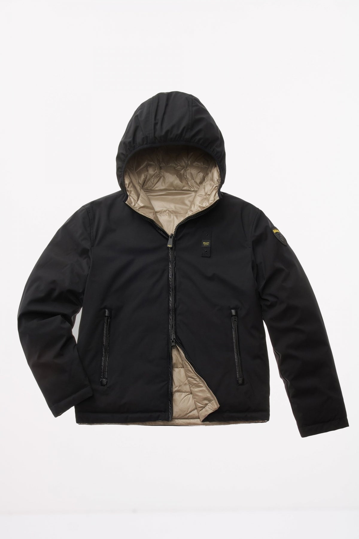 BLAUER BALLARD en color   (2)