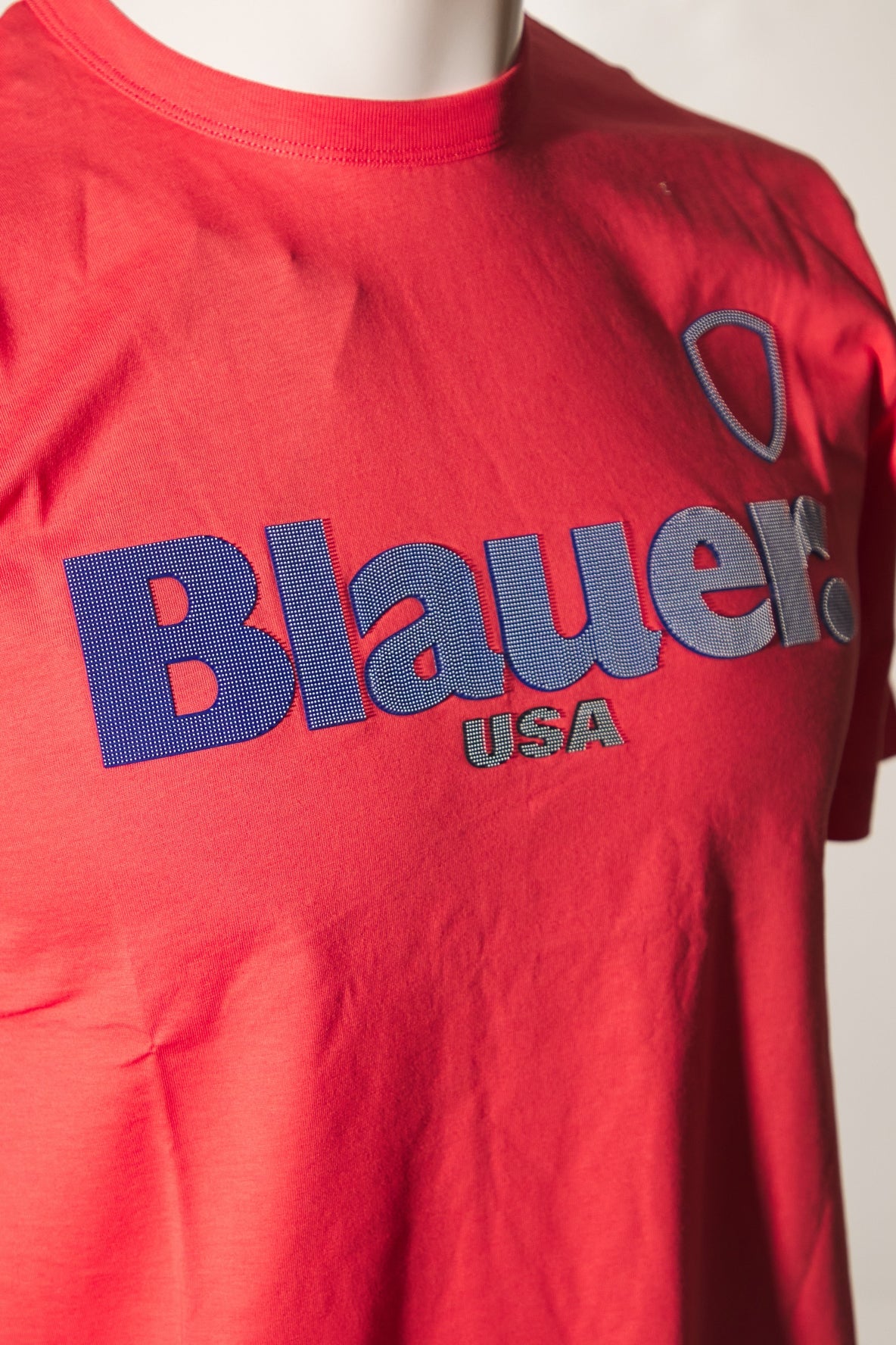BLAUER FAVRE en color   (4)