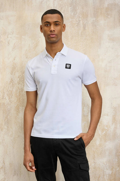 BLAUER ALBANO en color   (1)