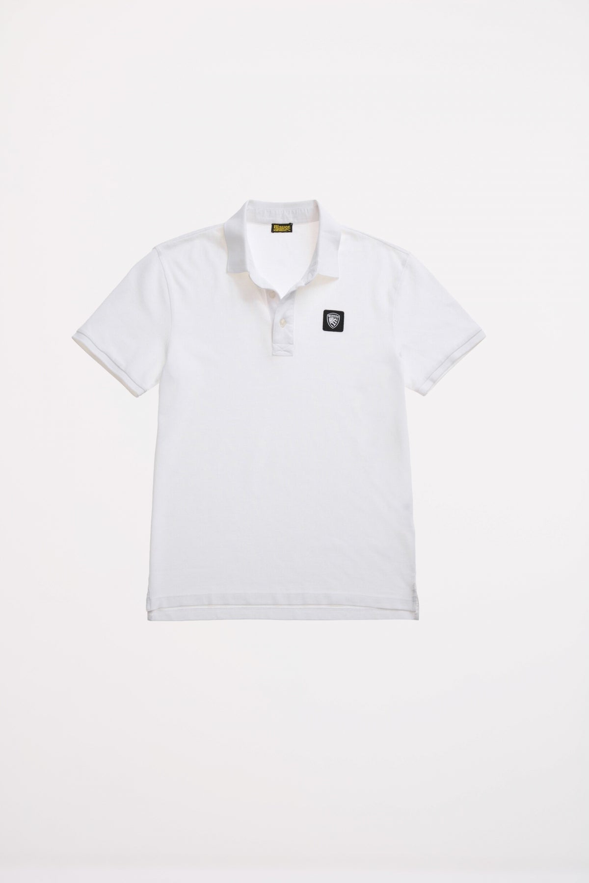 BLAUER ALBANO en color   (2)