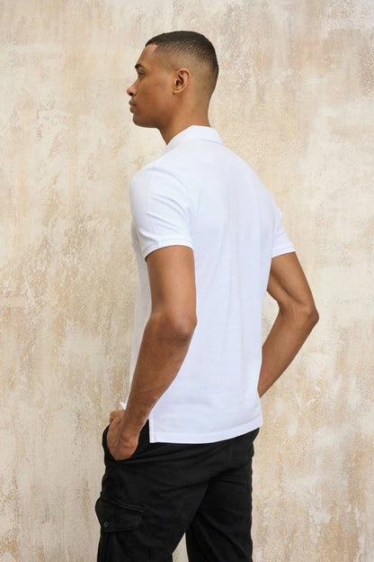 BLAUER ALBANO en color   (3)