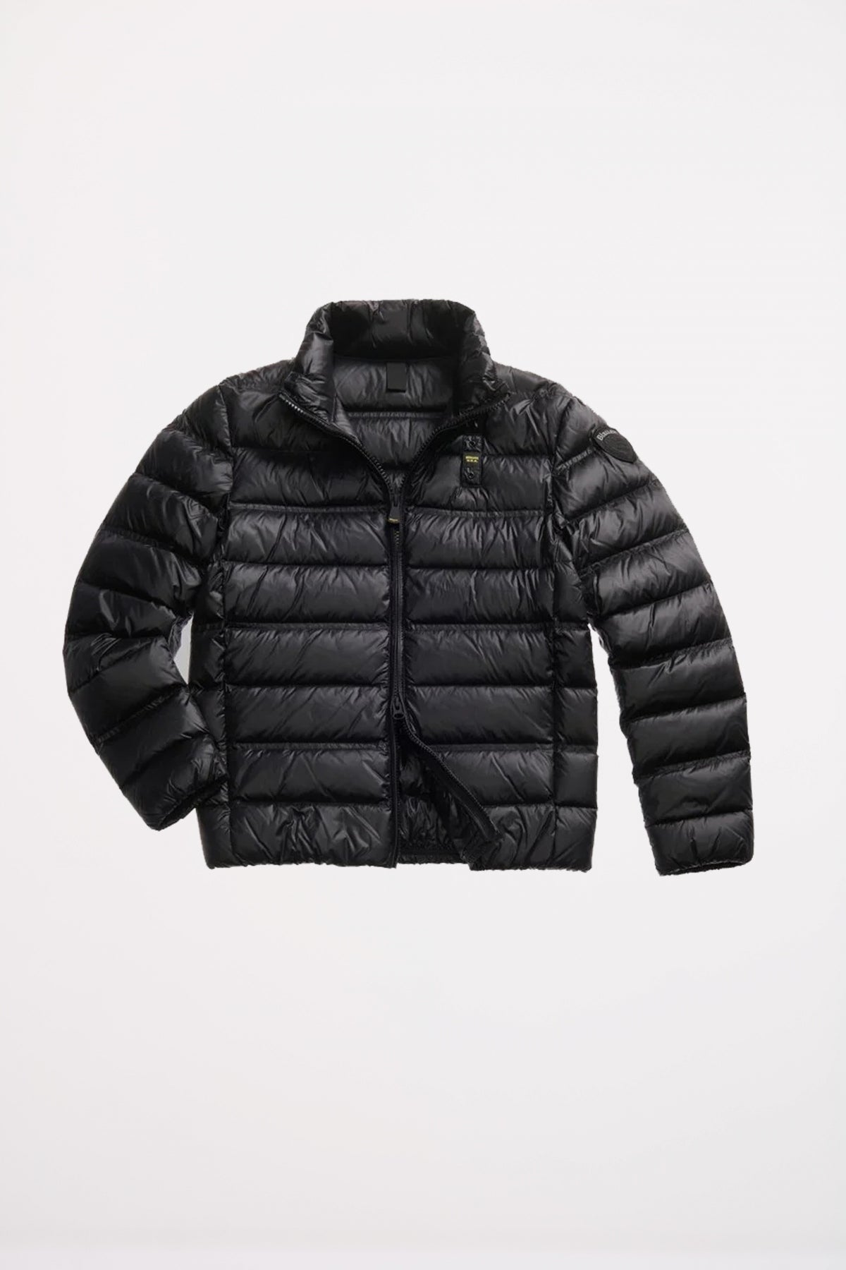 BLAUER  BELMONT  en color   (2)