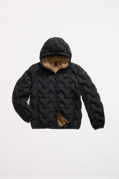 BLAUER PIERY en color   (2)