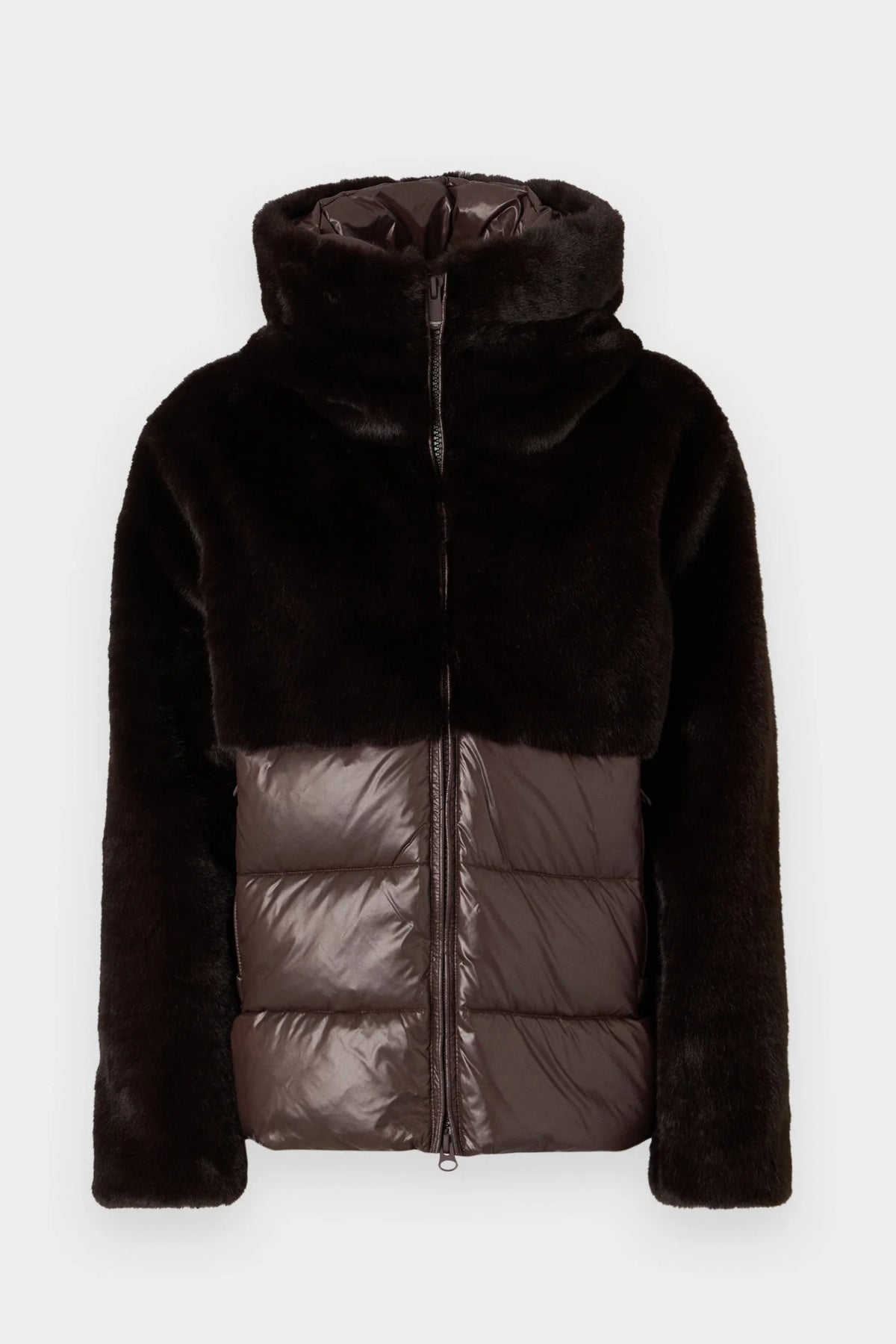 BLAUER FANEVIL en color   (2)