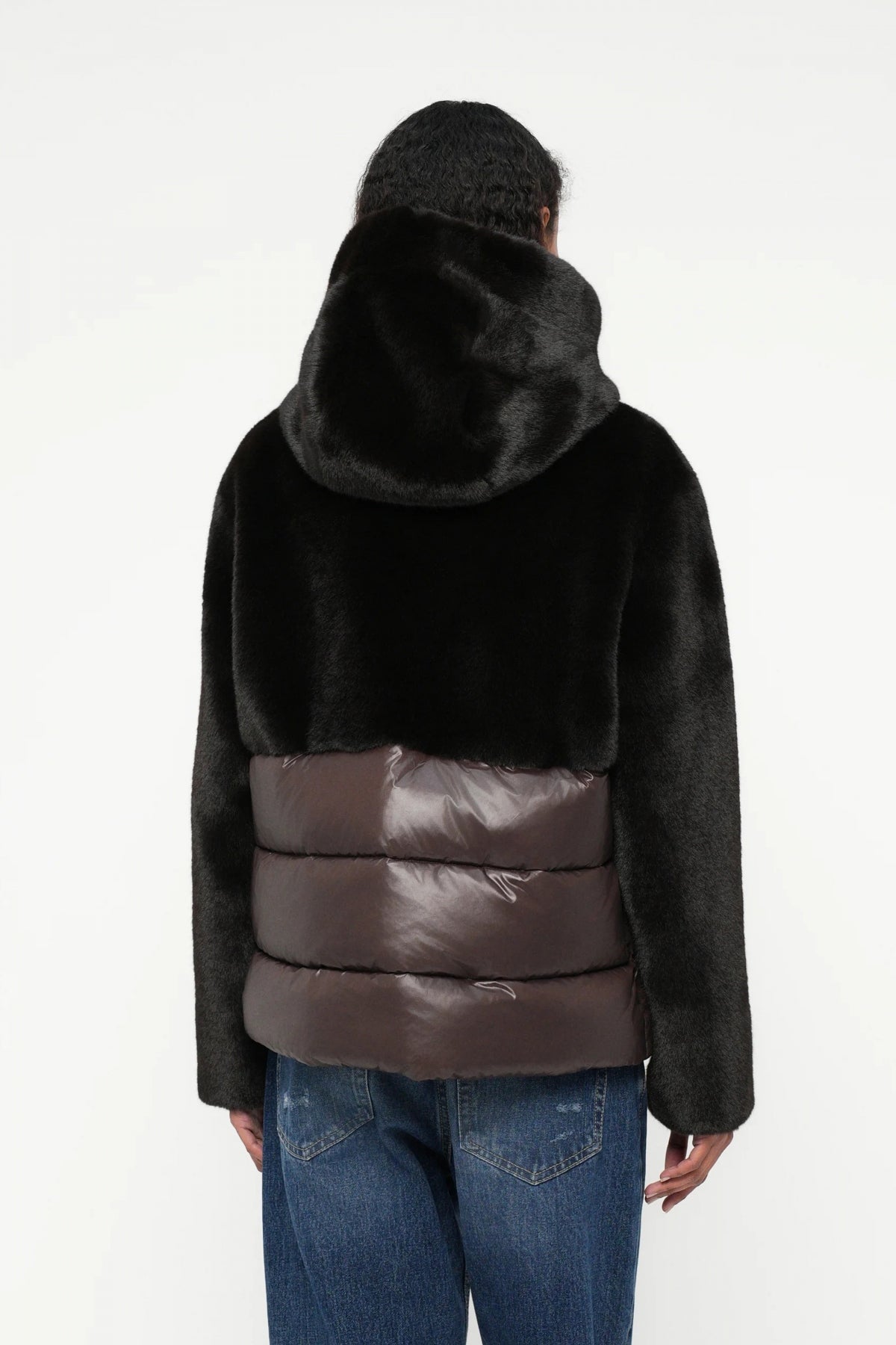 BLAUER FANEVIL en color   (3)