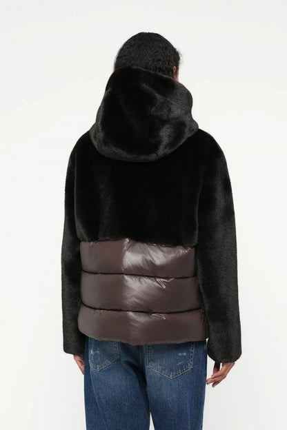 BLAUER FANEVIL en color   (3)