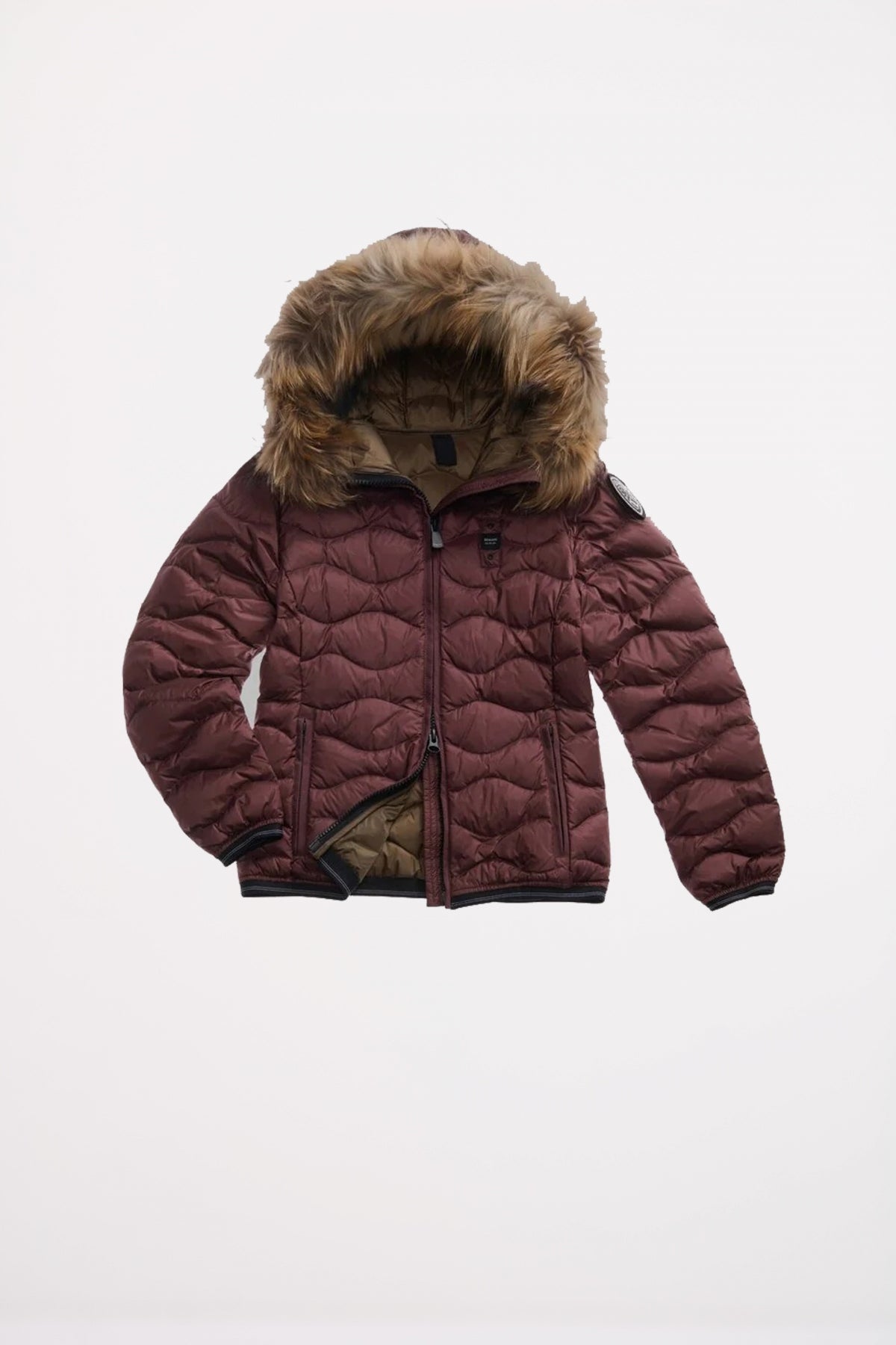 BLAUER ALDIE en color   (2)