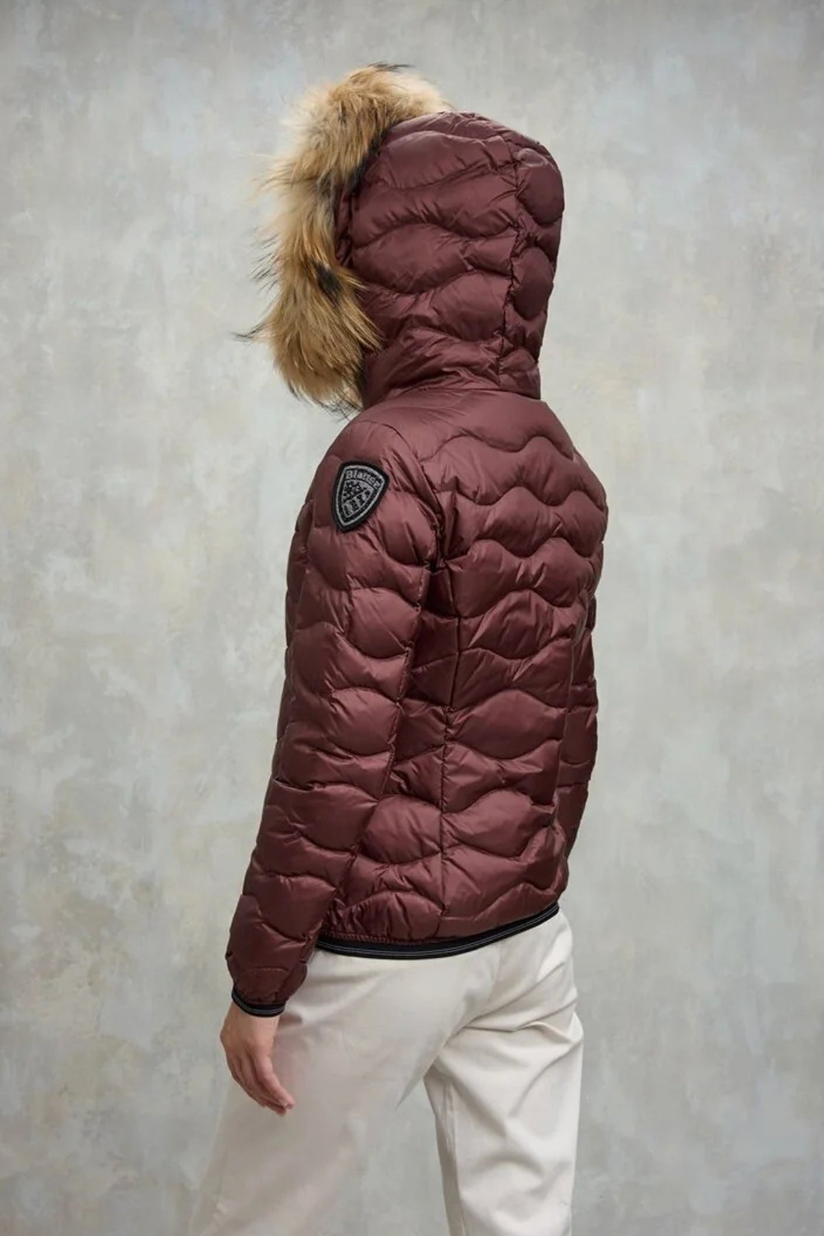 BLAUER ALDIE en color   (3)