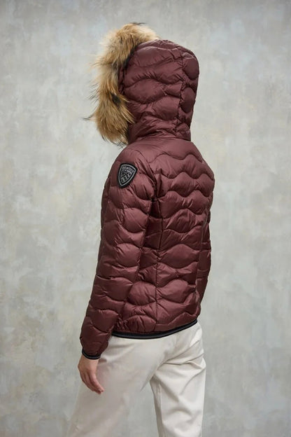 BLAUER ALDIE en color   (3)