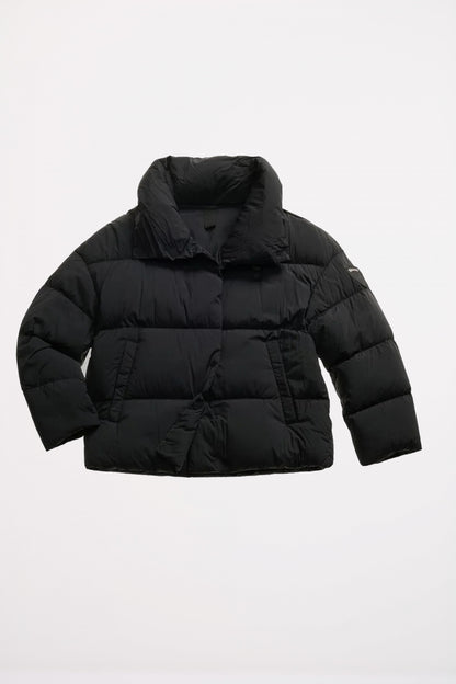 BLAUER ROSS en color   (2)