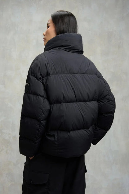 BLAUER ROSS en color   (3)