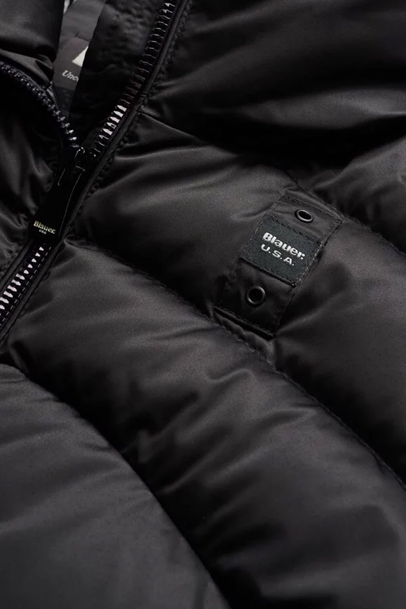 BLAUER MARYLAND en color   (4)