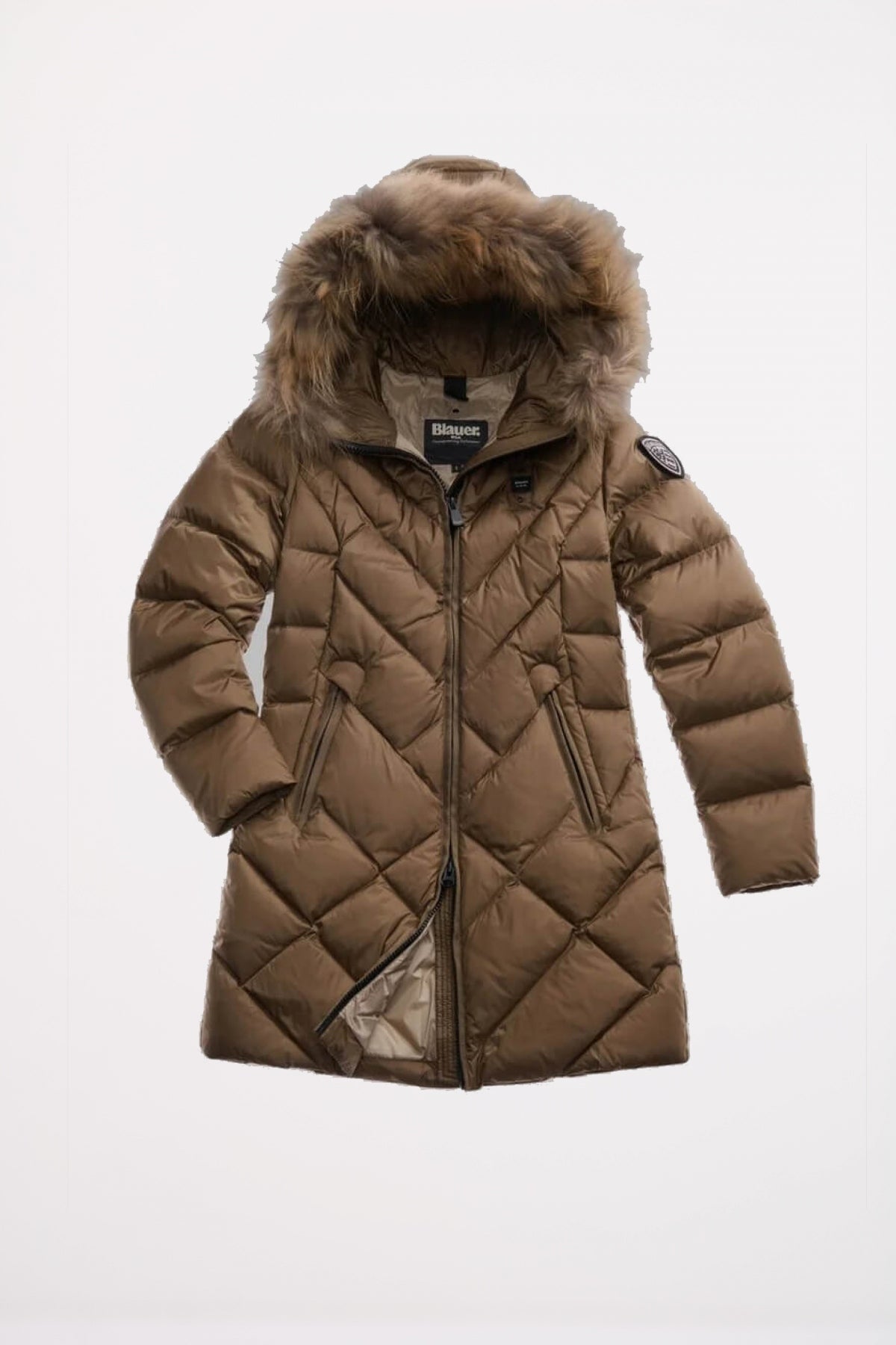 BLAUER ALTHEA en color   (2)