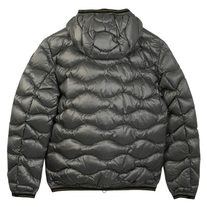 BLAUER WAVE en color   (5)