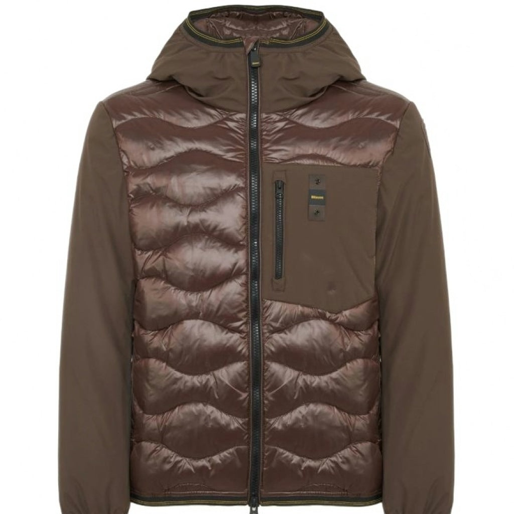 BLAUER ALBERT en color B  (4)