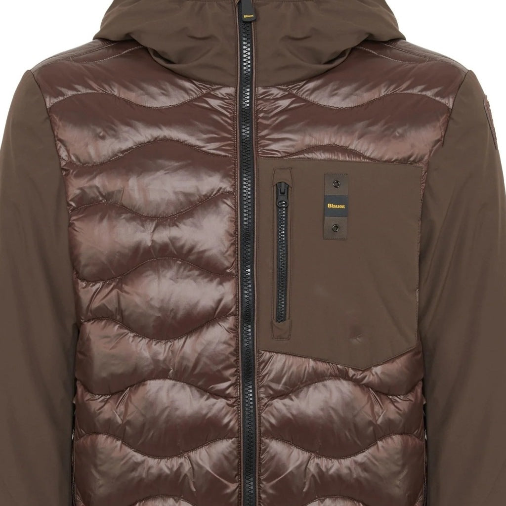 BLAUER ALBERT en color B  (6)