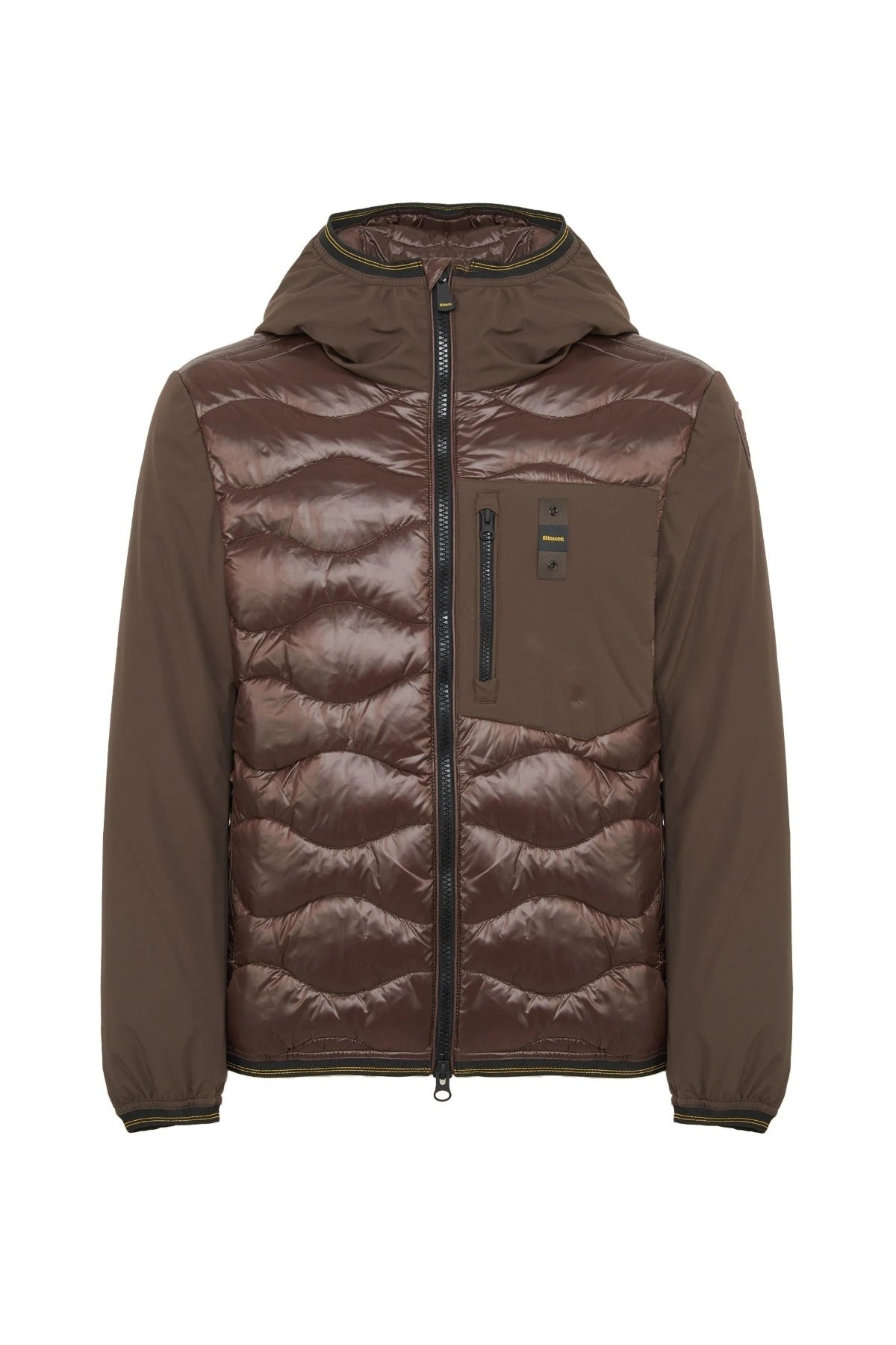 BLAUER ALBERT en color B  (1)
